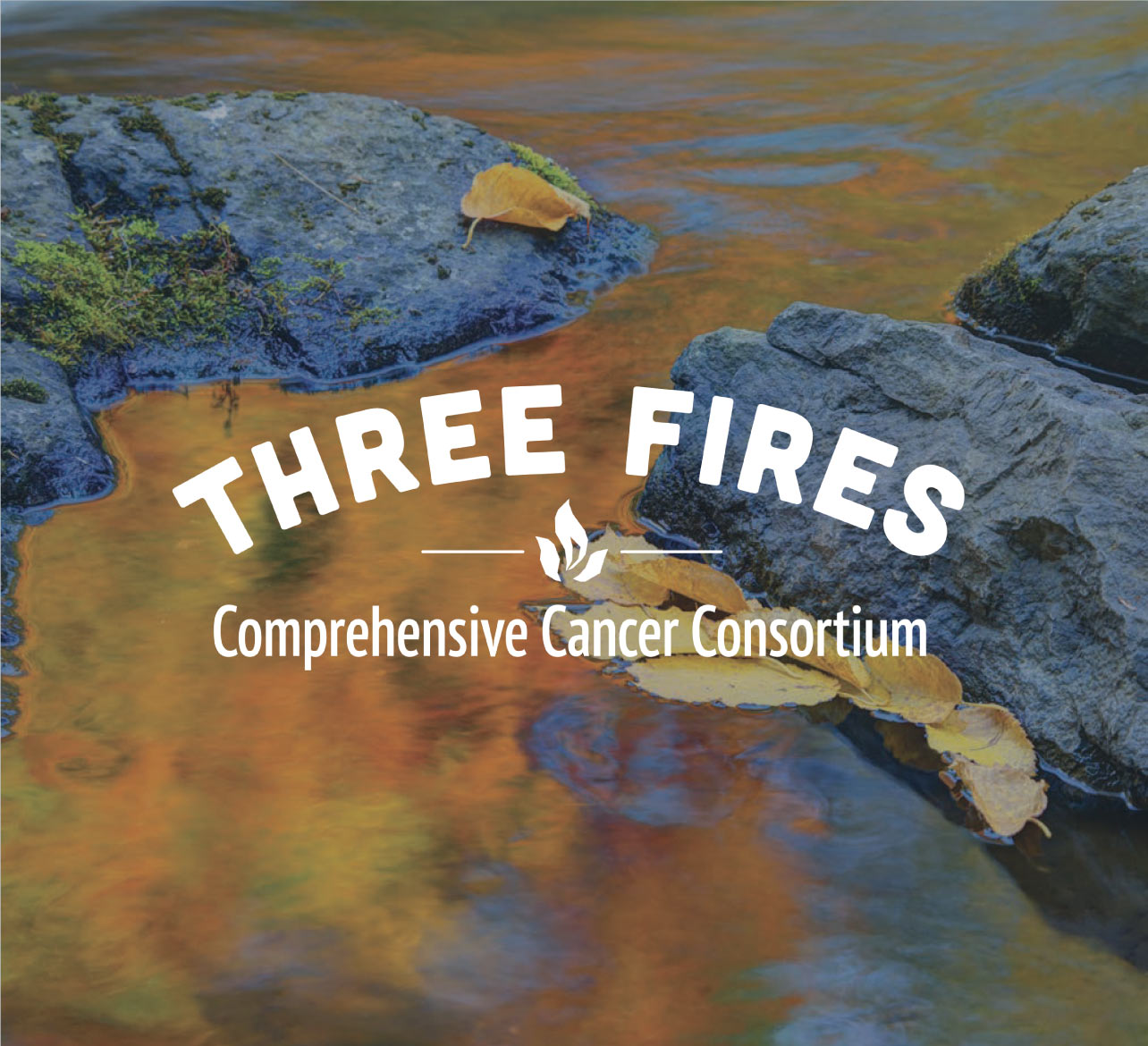Three Fires Cancer Consortium